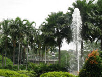 IMG 0101s