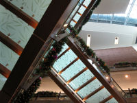 IMG 0104s