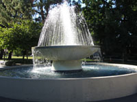 IMG 0012s