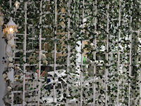 P2190636s